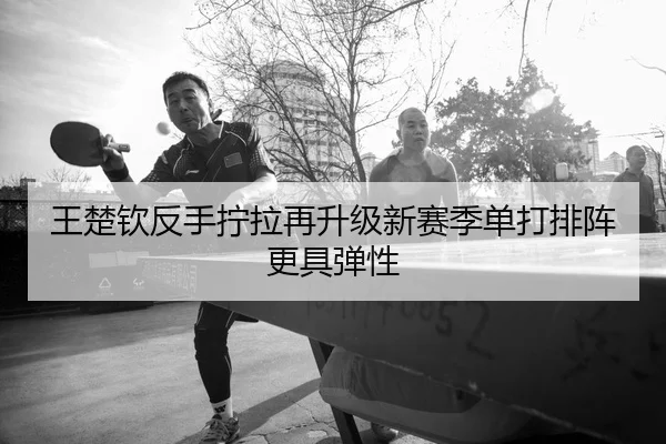 王楚钦反手拧拉再升级新赛季单打排阵更具弹性